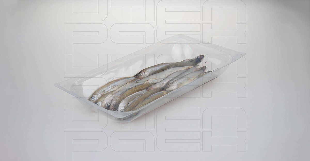 �����ȳ��������װ